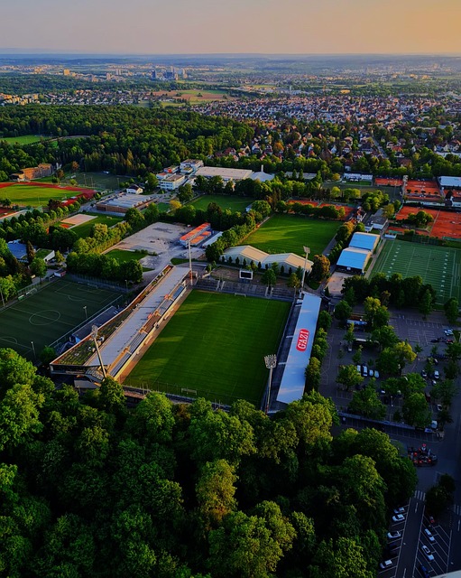 恩佐的关键 恩佐的关键