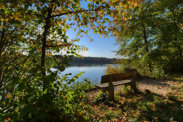 赛道上跃动 赛道上跃动