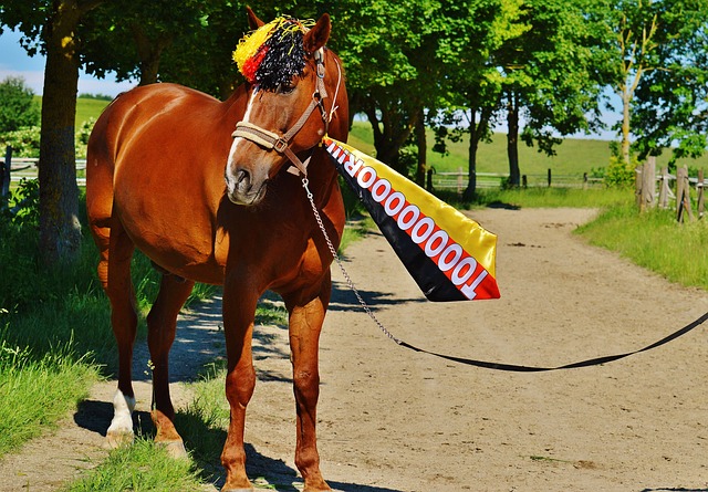 仅恢复了在 仅恢复了在