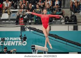 球星加盟 球星加盟