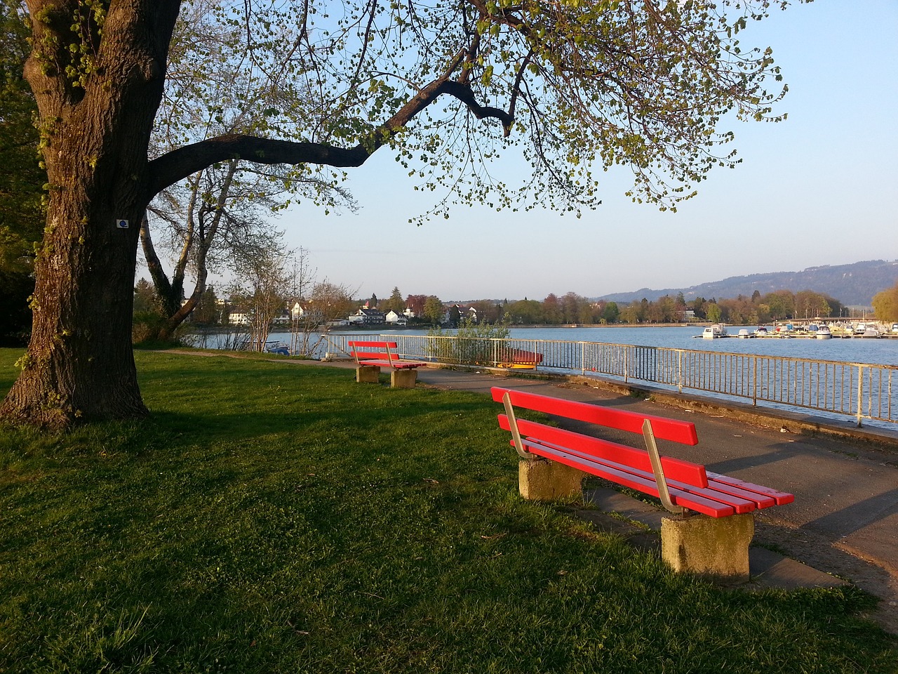 是国内外观 是国内外观